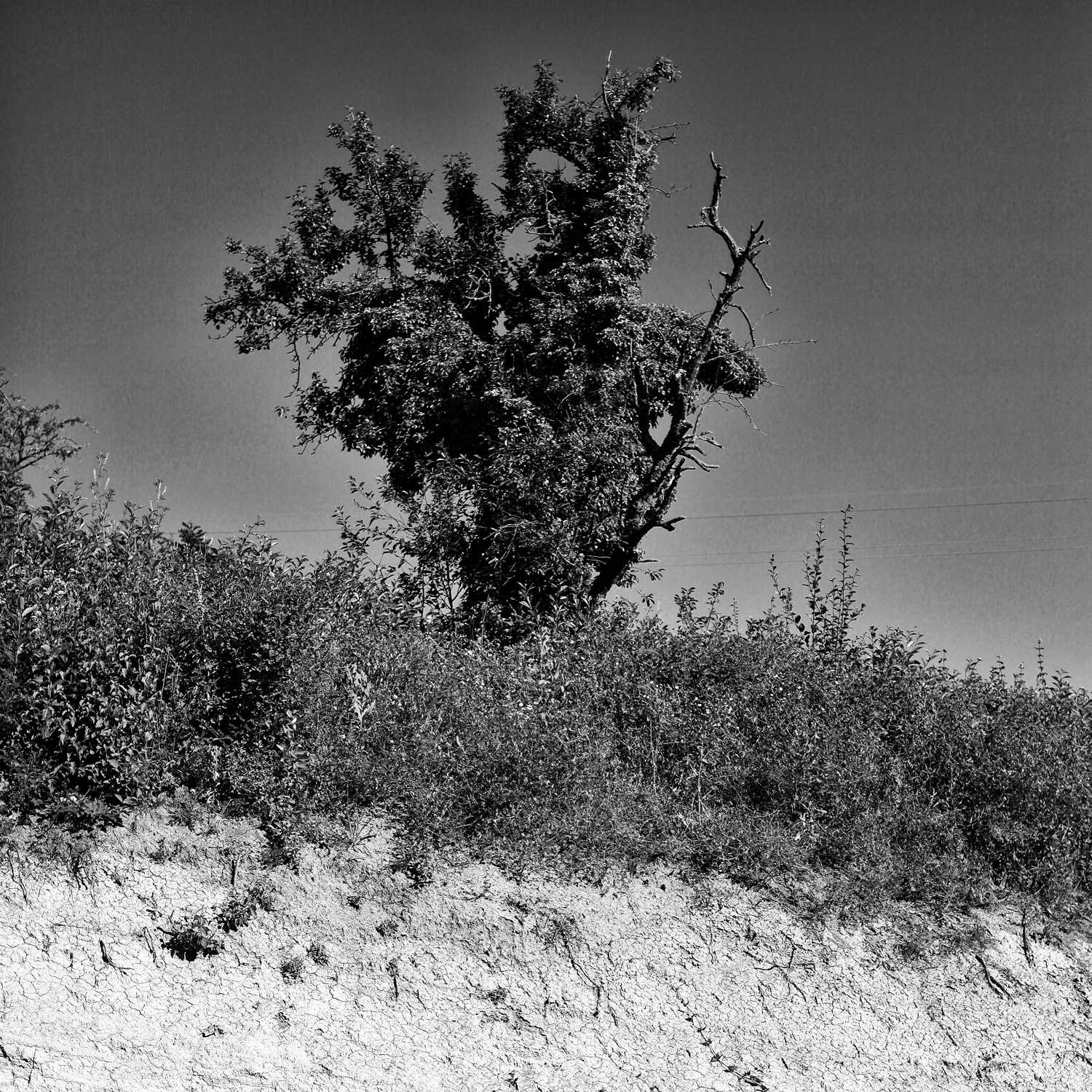 Envoyée par Lucas FALCHERO le 15/04/2025