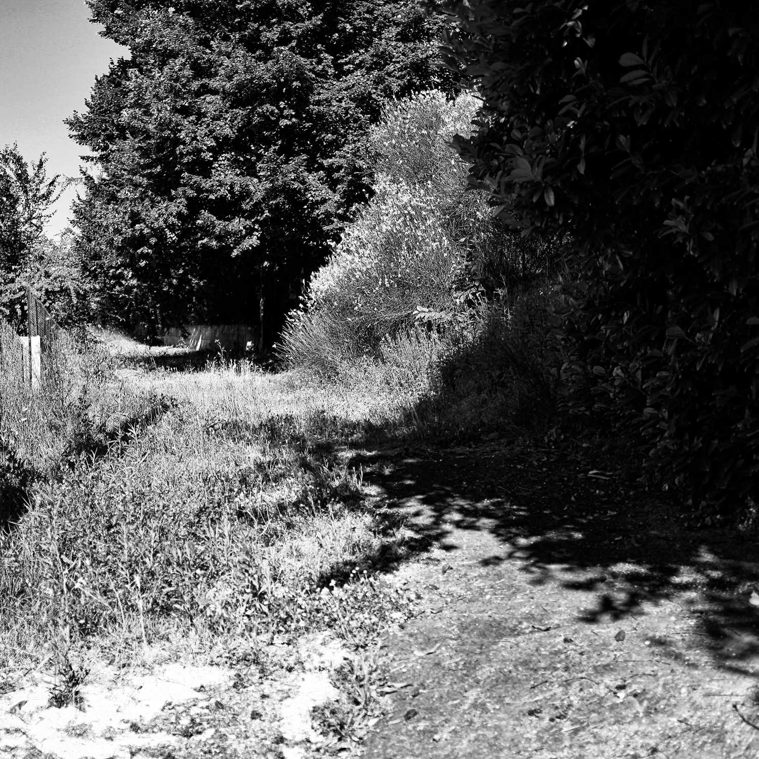 Envoyée par Lucas FALCHERO le 16/04/2025