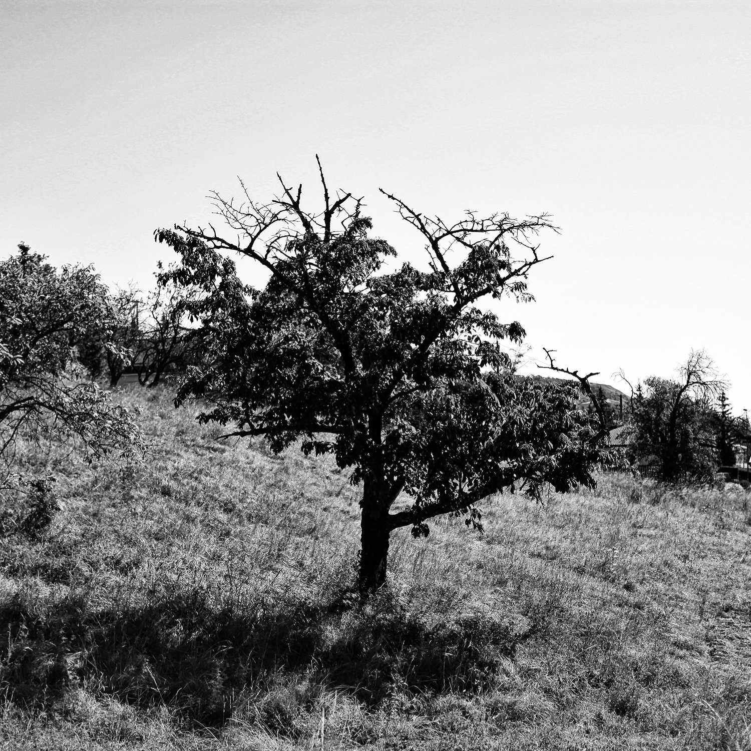 Envoyée par Lucas FALCHERO le 16/04/2025