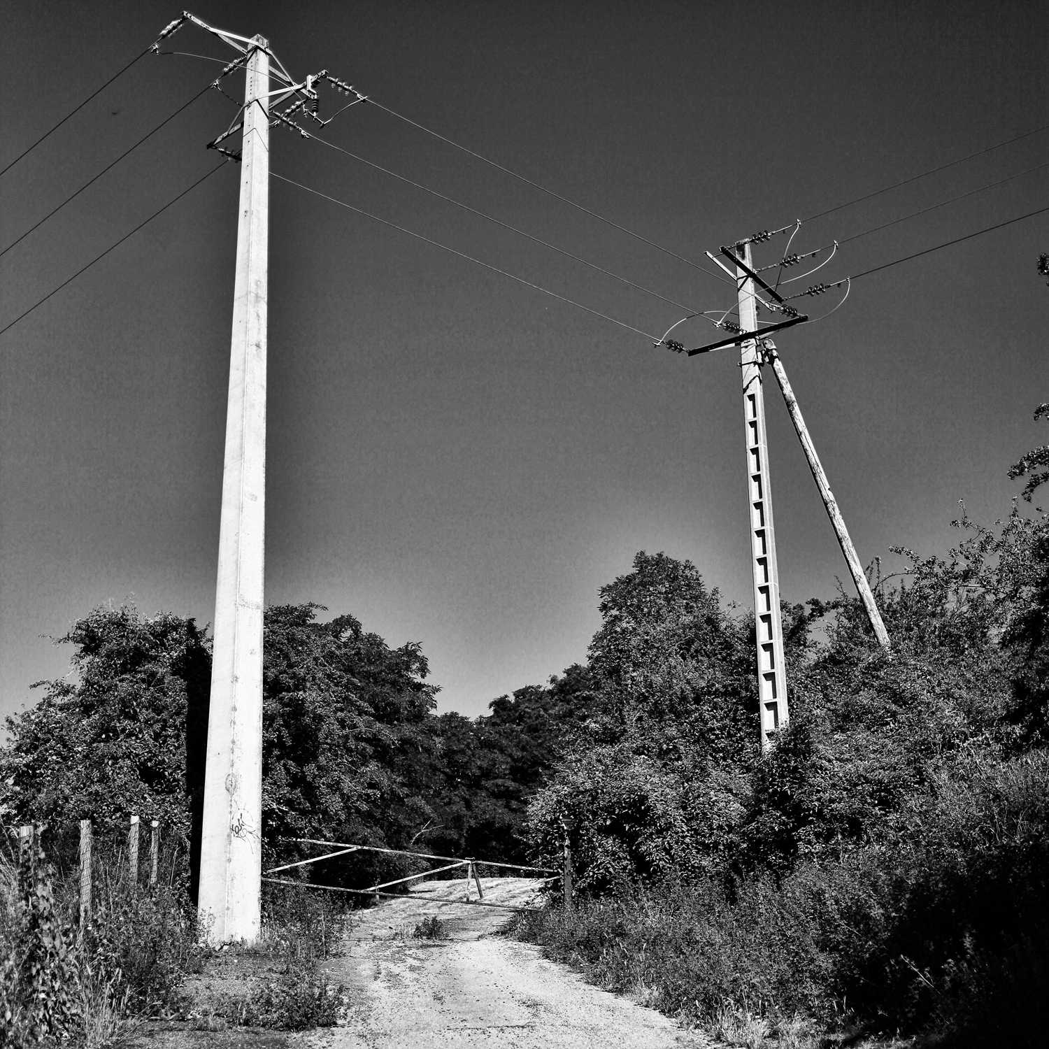 Envoyée par Lucas FALCHERO le 16/04/2025