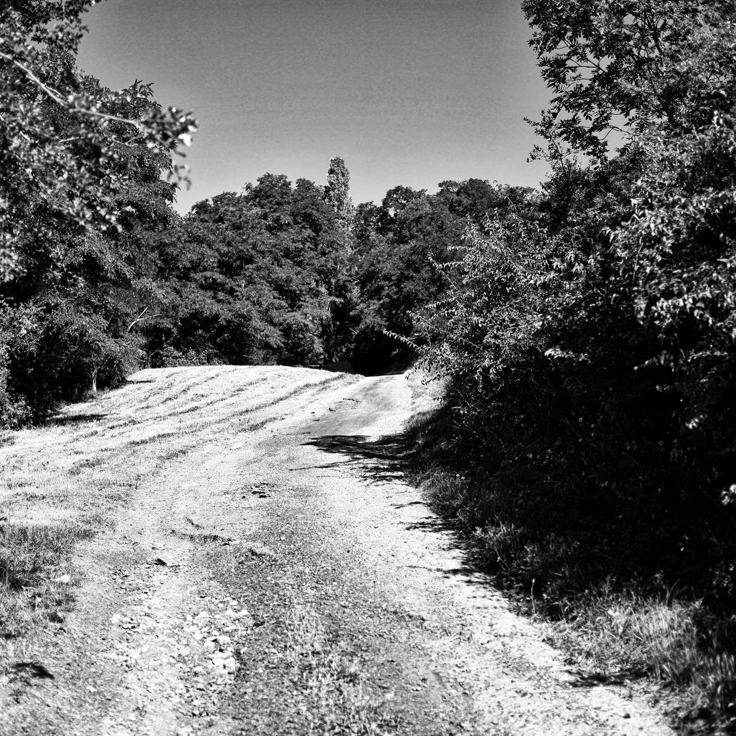 Envoyée par Lucas FALCHERO le 16/04/2025