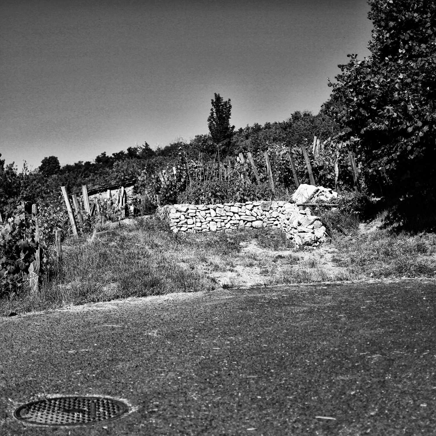 Envoyée par Lucas FALCHERO le 16/04/2025
