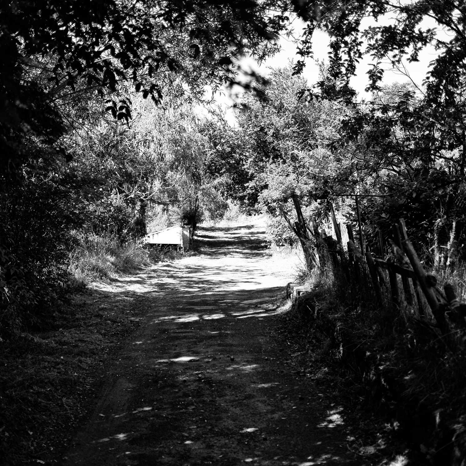 Envoyée par Lucas FALCHERO le 16/04/2025 Envoyée par Lucas FALCHERO le 16/04/2025