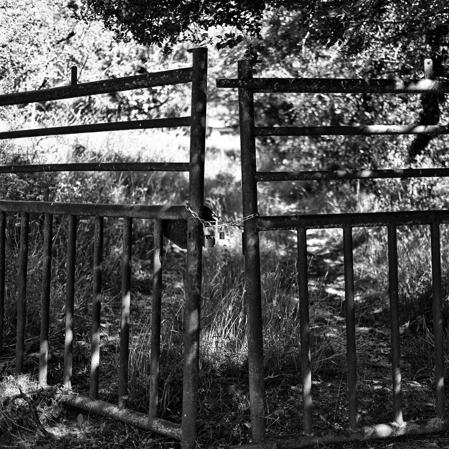 Envoyée par Lucas FALCHERO le 16/04/2025 Envoyée par Lucas FALCHERO le 16/04/2025