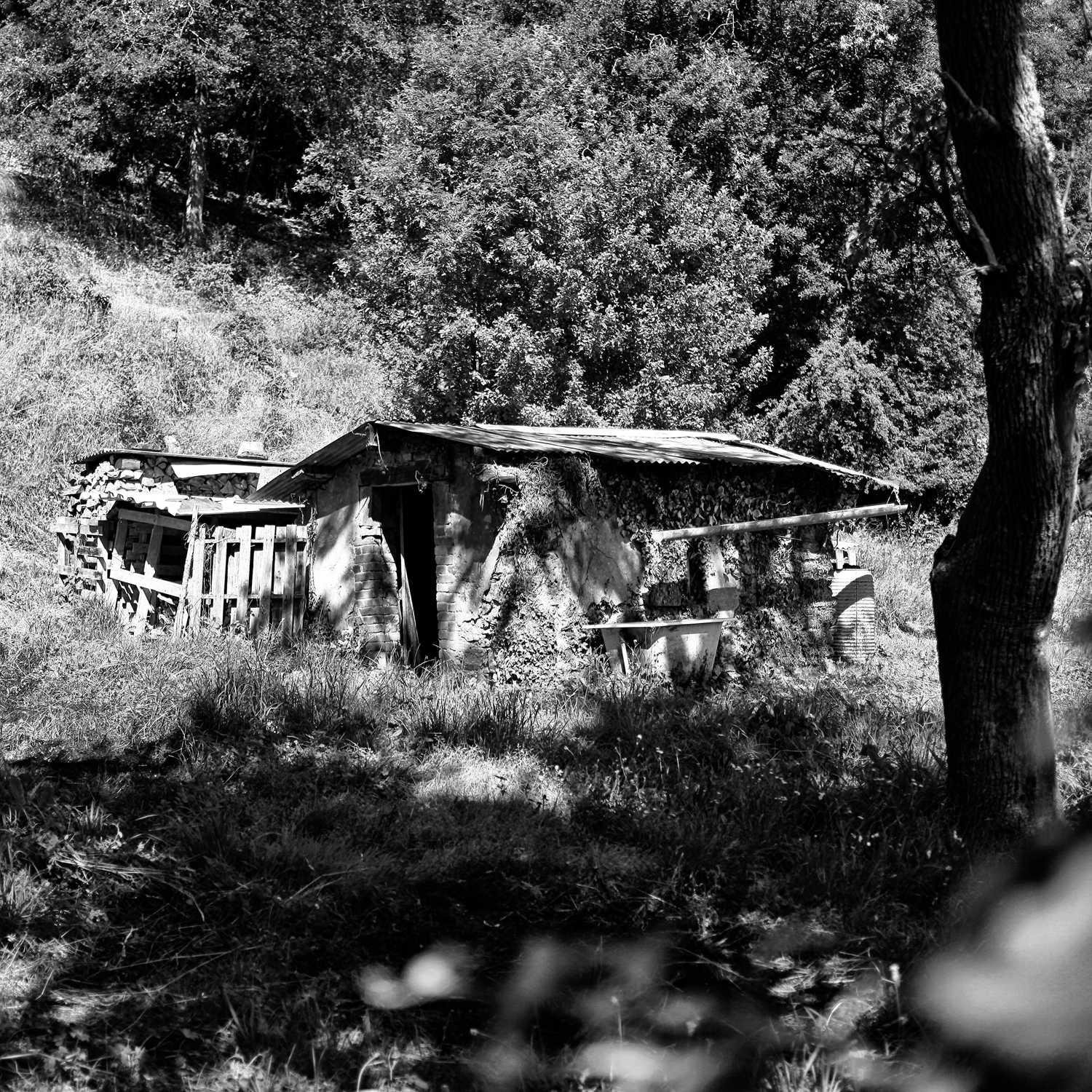 Envoyée par Lucas FALCHERO le 16/04/2025 Envoyée par Lucas FALCHERO le 16/04/2025