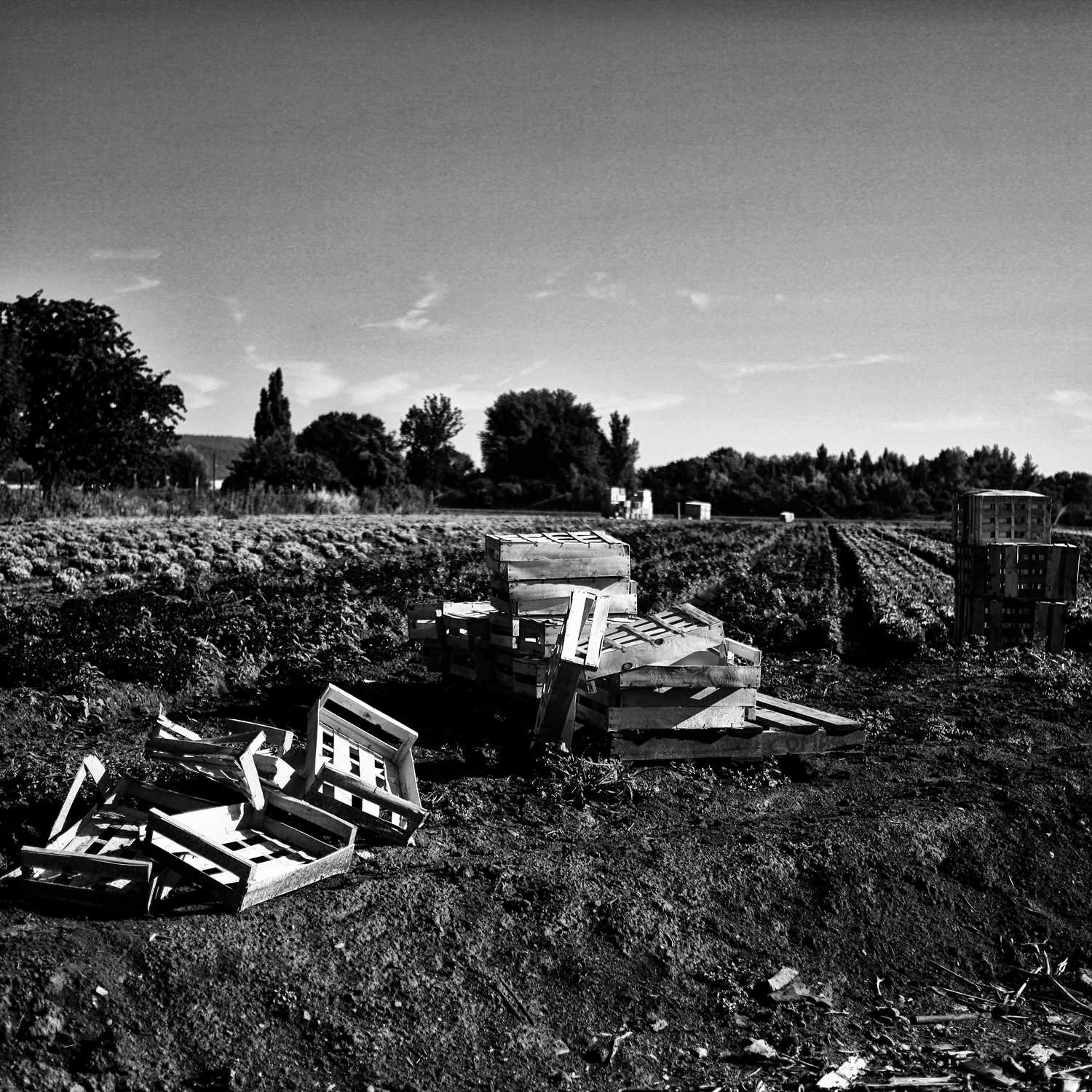 Envoyée par Lucas FALCHERO le 16/04/2025 Envoyée par Lucas FALCHERO le 16/04/2025