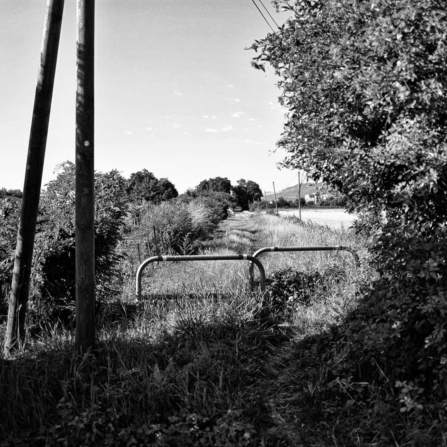 Envoyée par Lucas FALCHERO le 16/04/2025