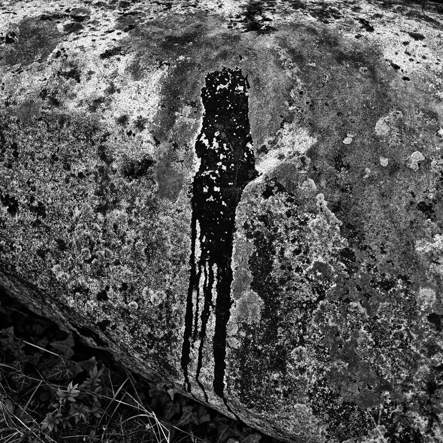 Envoyée par Lucas FALCHERO le 17/04/2025 Envoyée par Lucas FALCHERO le 17/04/2025