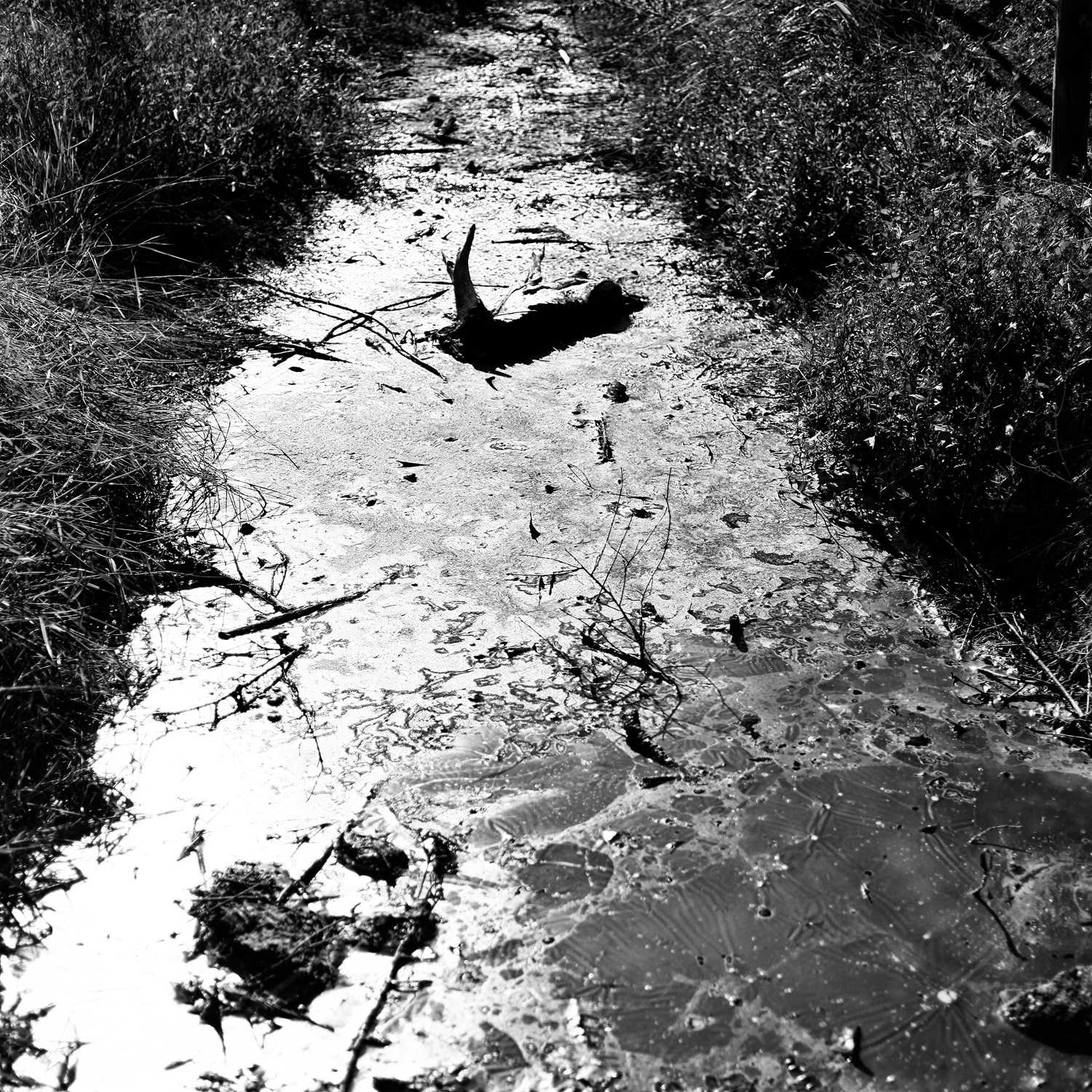 Envoyée par Lucas FALCHERO le 17/04/2025 Envoyée par Lucas FALCHERO le 17/04/2025