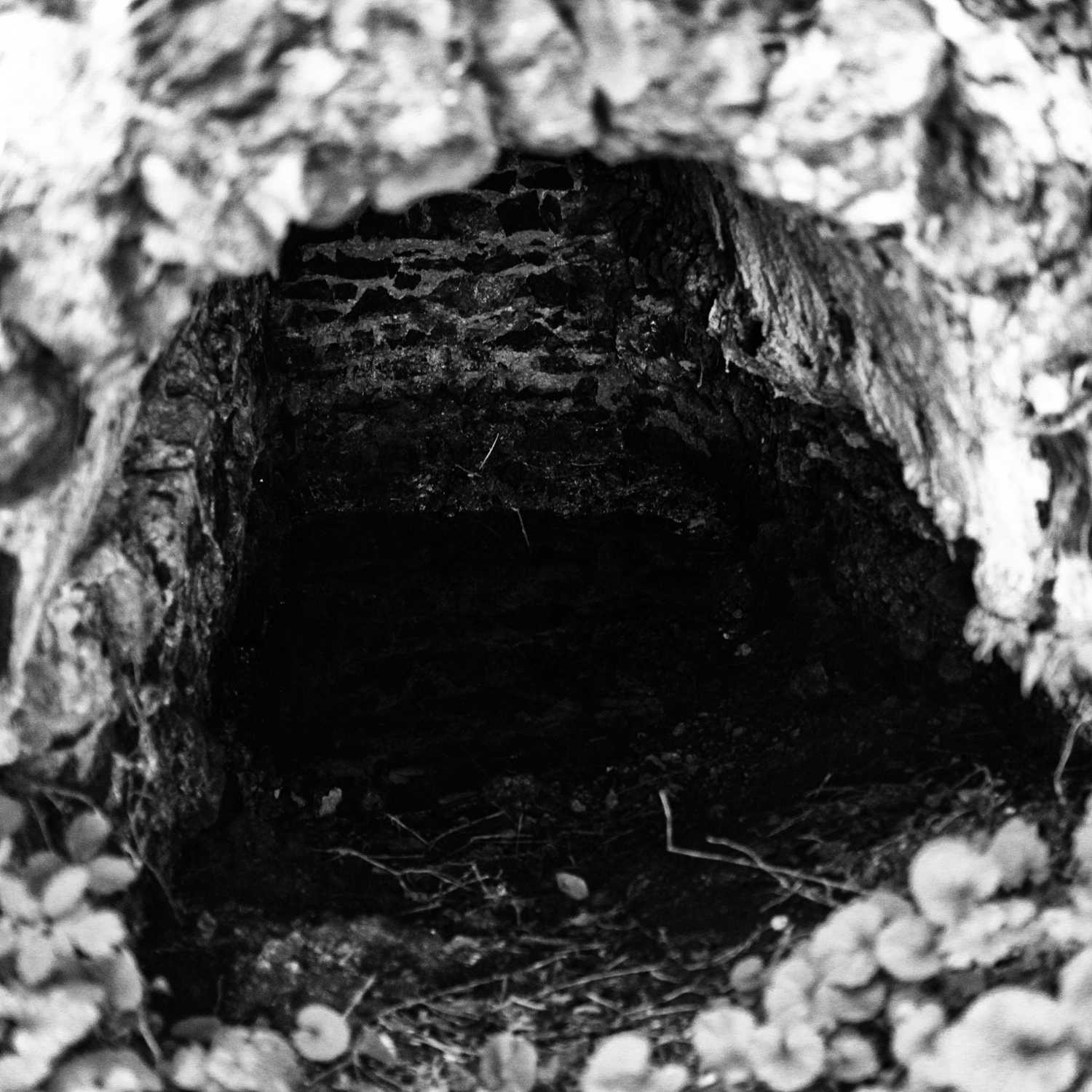 Envoyée par Lucas FALCHERO le 17/04/2025 Envoyée par Lucas FALCHERO le 17/04/2025