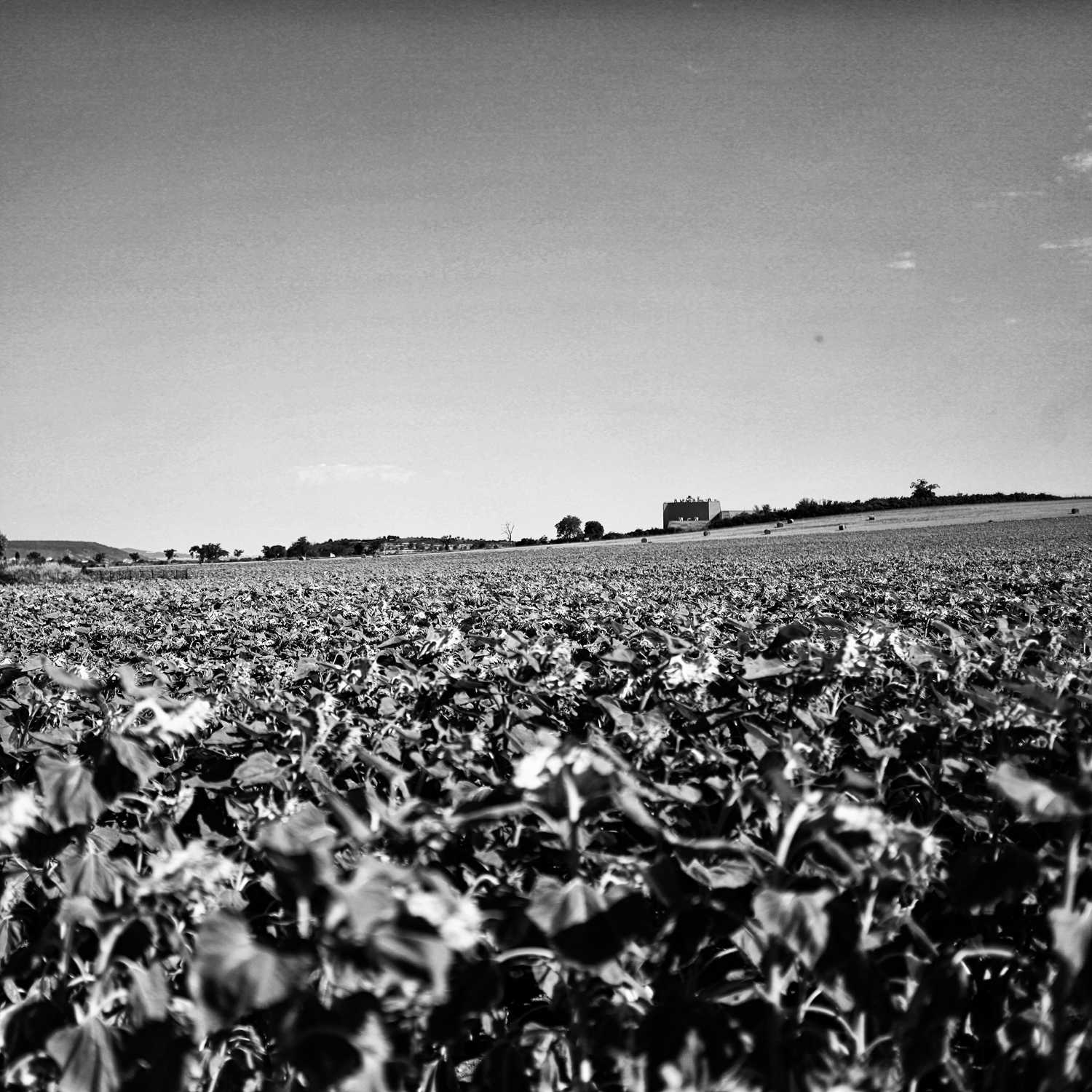 Envoyée par Lucas FALCHERO le 17/04/2025 Envoyée par Lucas FALCHERO le 17/04/2025