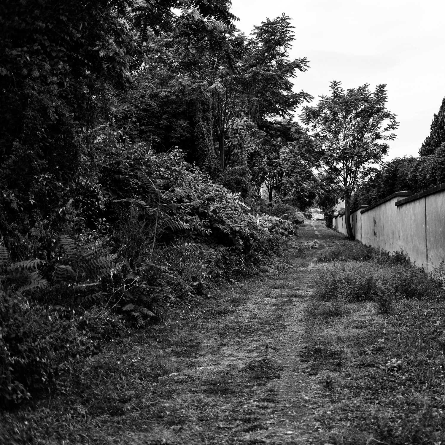 Envoyée par Lucas FALCHERO le 18/04/2025