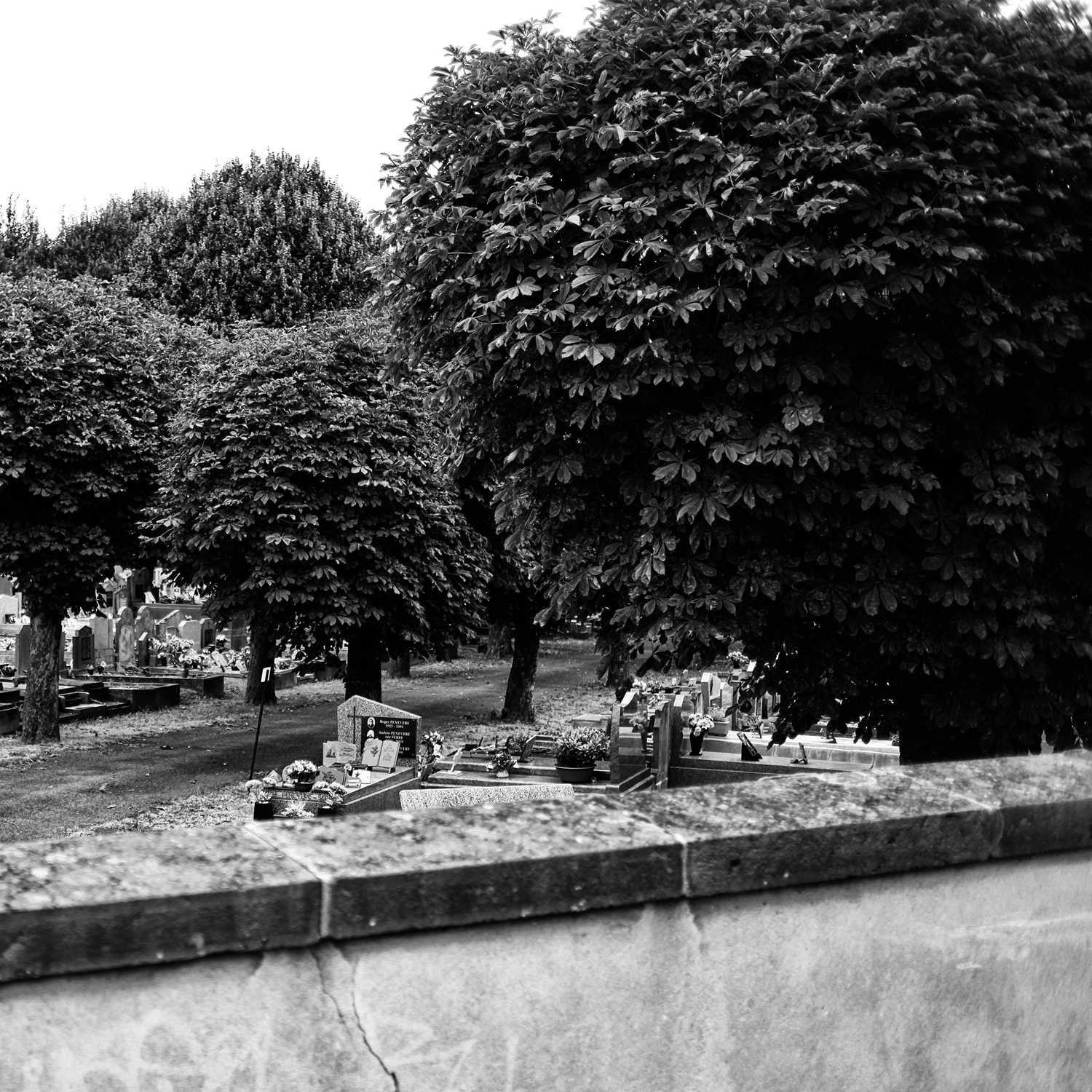Envoyée par Lucas FALCHERO le 18/04/2025