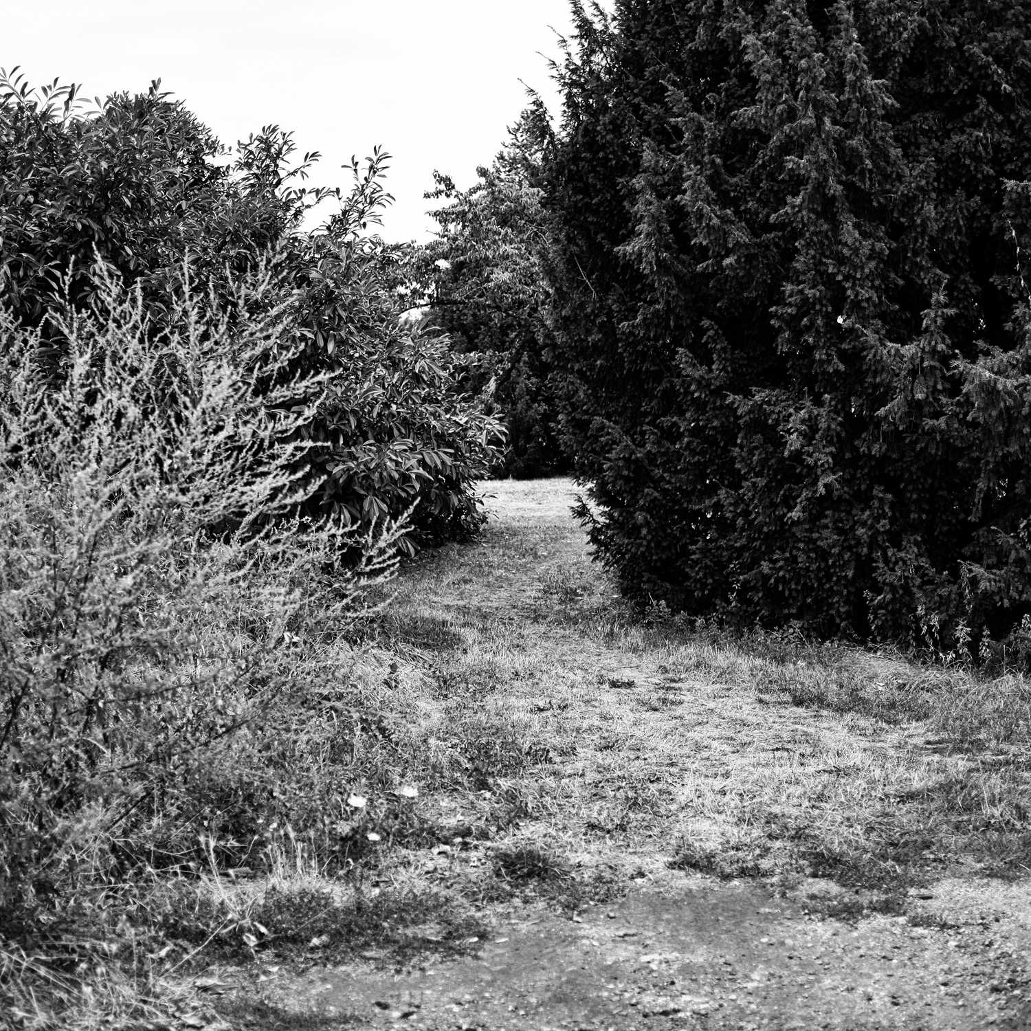 Envoyée par Lucas FALCHERO le 18/04/2025 Envoyée par Lucas FALCHERO le 18/04/2025