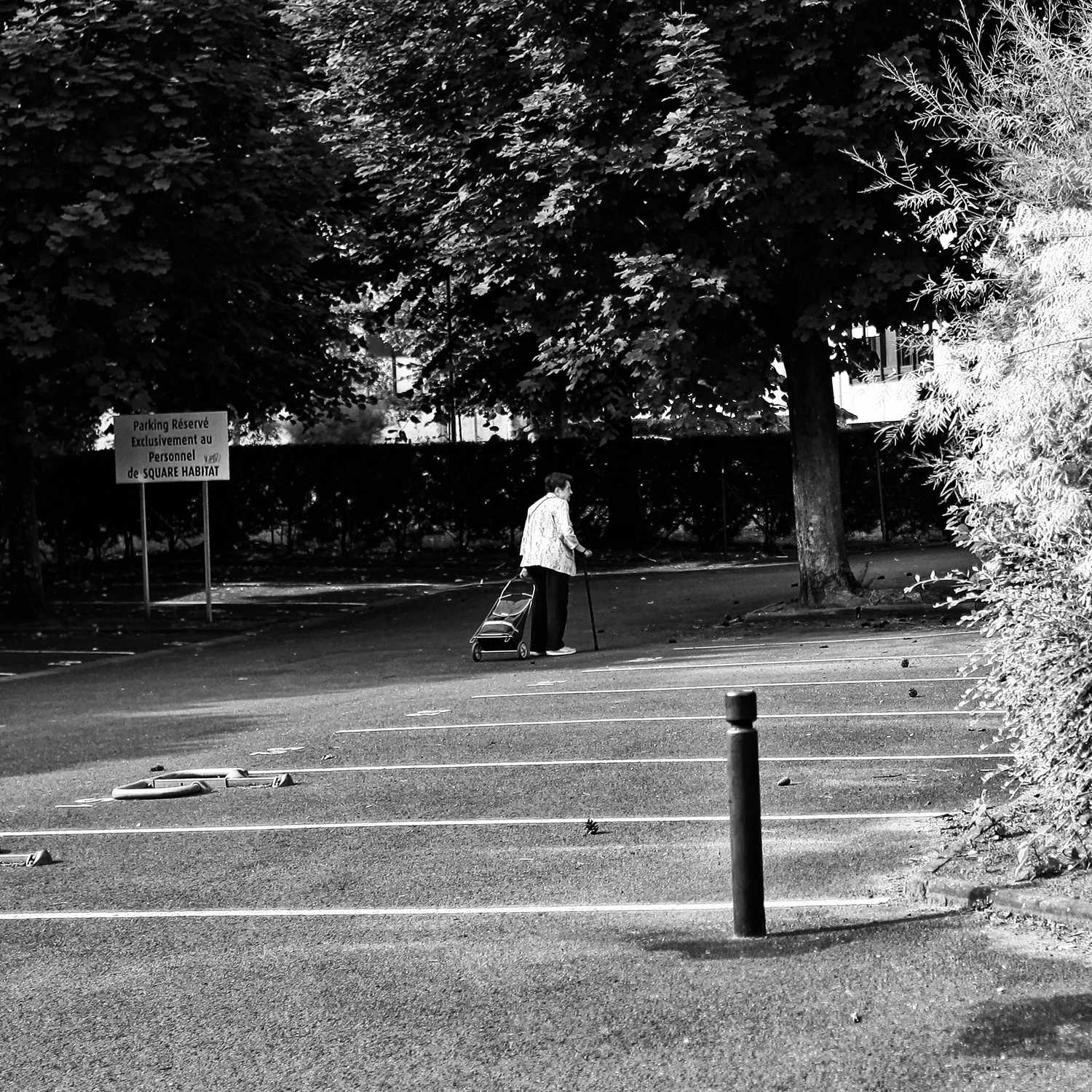 Envoyée par Lucas FALCHERO le 15/04/2025