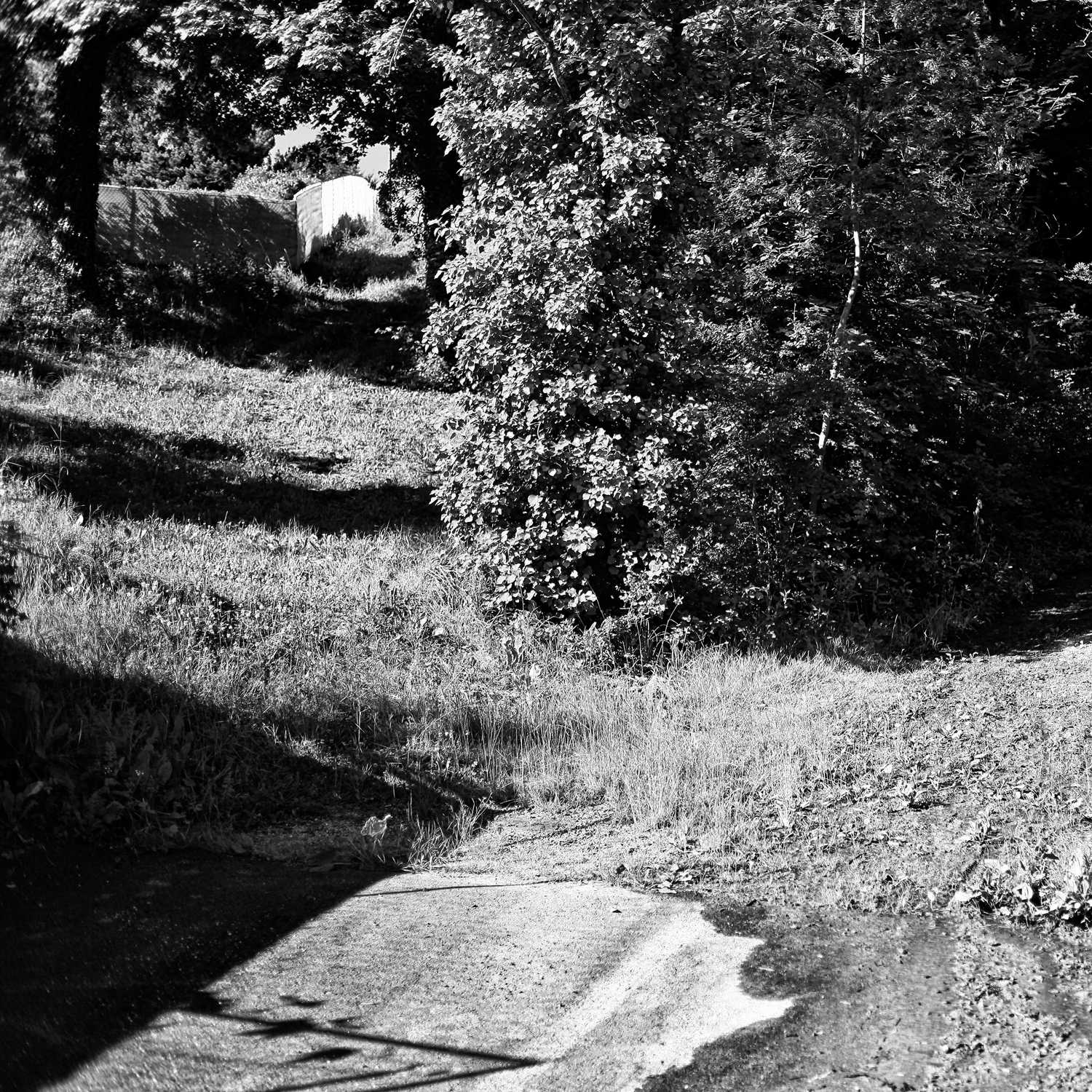 Envoyée par Lucas FALCHERO le 15/04/2025