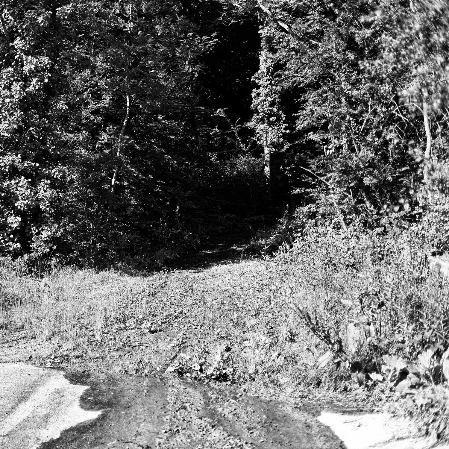 Envoyée par Lucas FALCHERO le 15/04/2025 Envoyée par Lucas FALCHERO le 15/04/2025