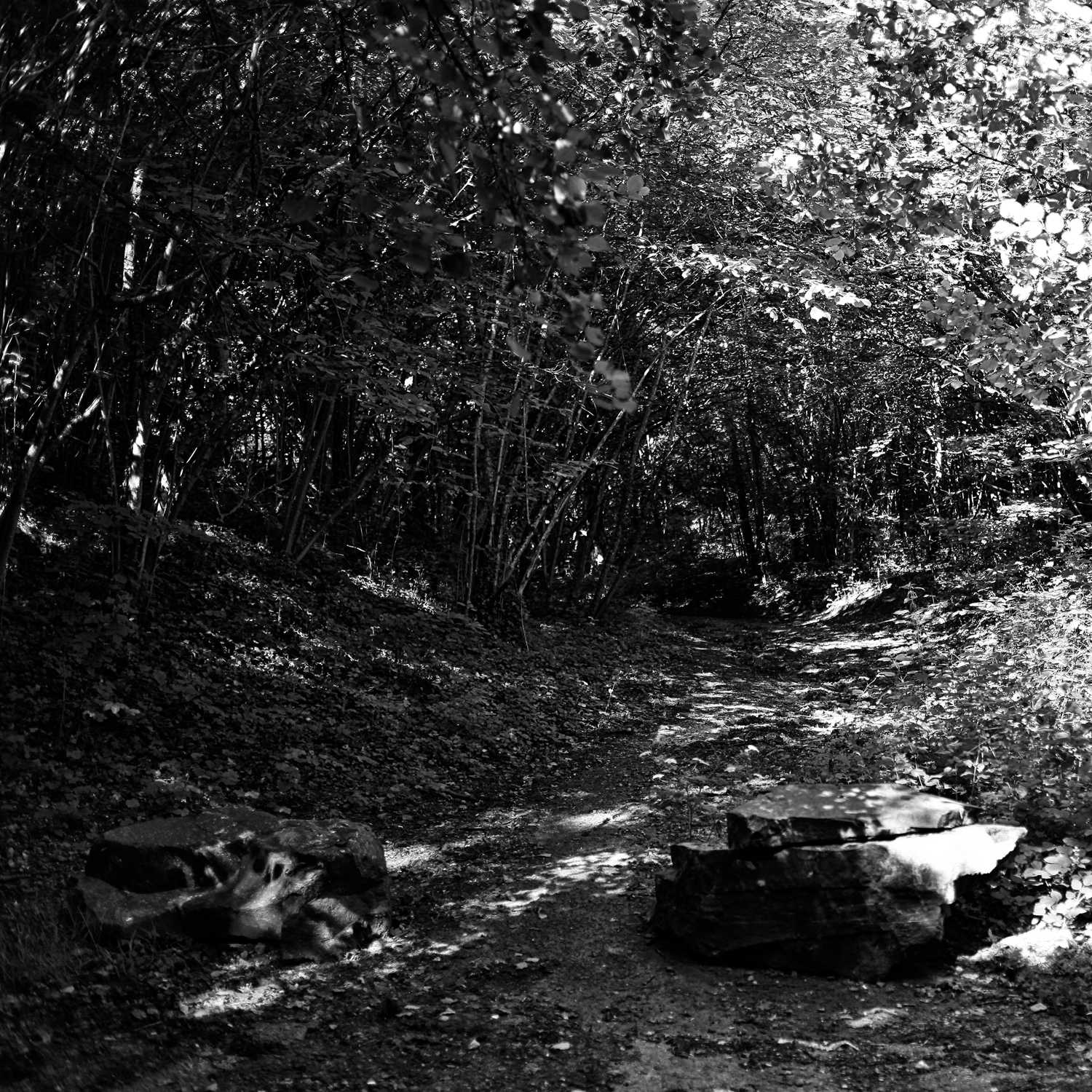 Envoyée par Lucas FALCHERO le 15/04/2025 Envoyée par Lucas FALCHERO le 15/04/2025