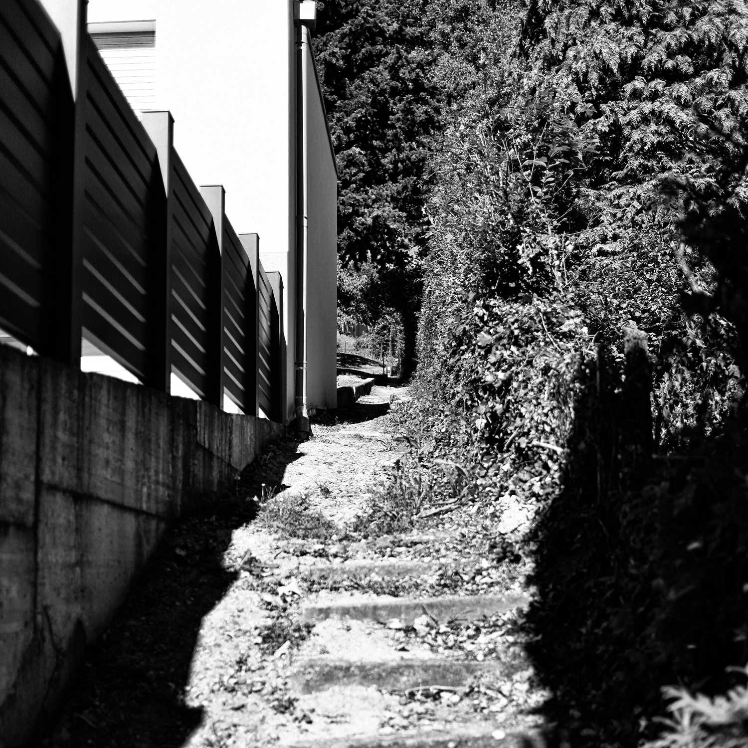 Envoyée par Lucas FALCHERO le 15/04/2025 Envoyée par Lucas FALCHERO le 15/04/2025