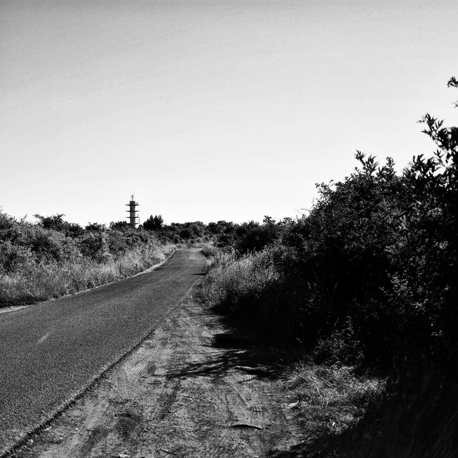 Envoyée par Lucas FALCHERO le 15/04/2025