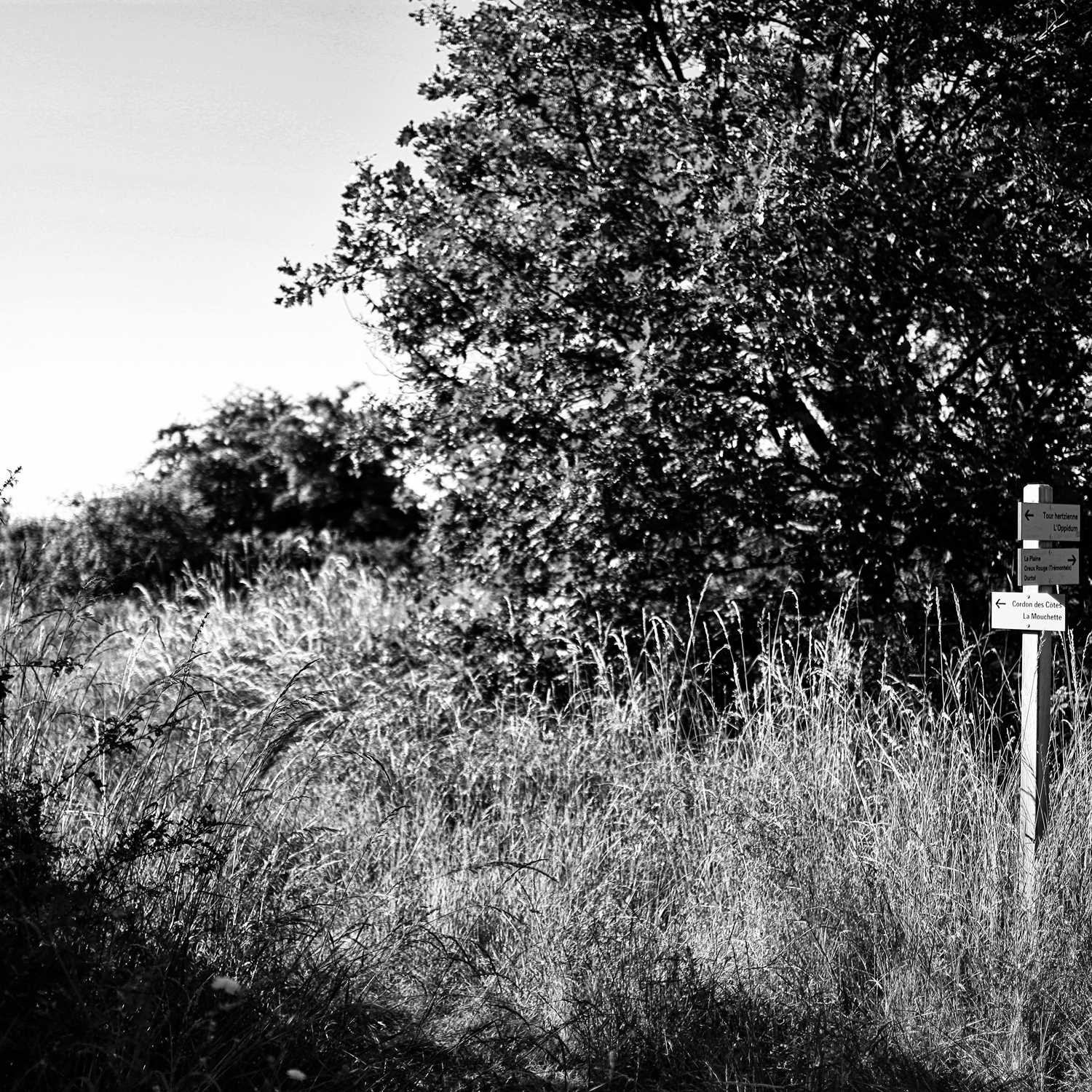 Envoyée par Lucas FALCHERO le 15/04/2025
