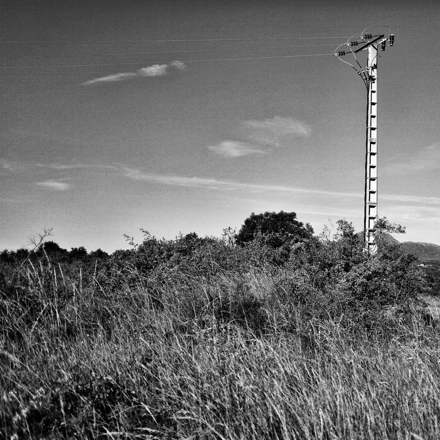 Envoyée par Lucas FALCHERO le 15/04/2025