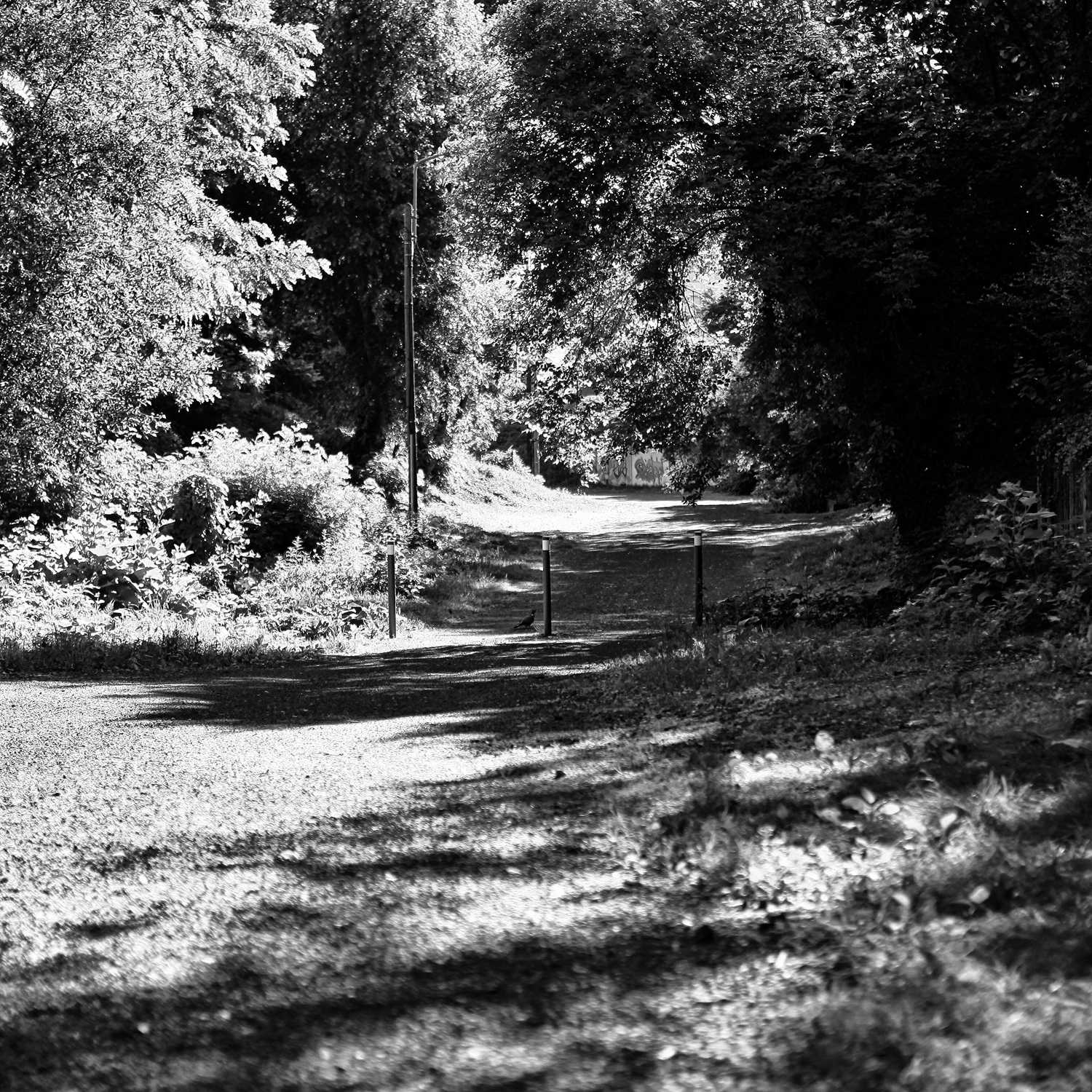 Envoyée par Lucas FALCHERO le 15/04/2025