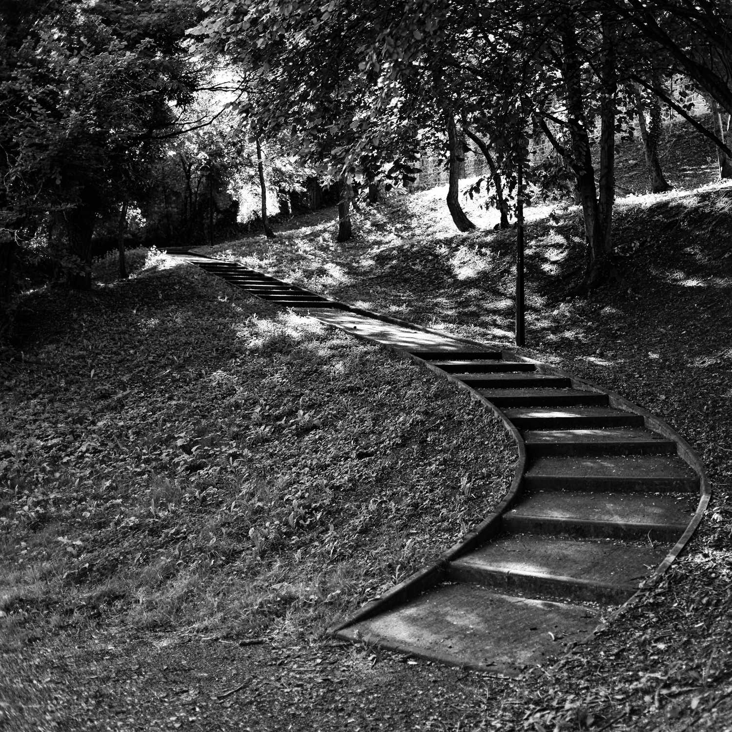 Envoyée par Lucas FALCHERO le 15/04/2025
