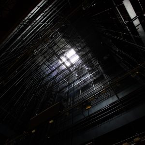 Img 1528