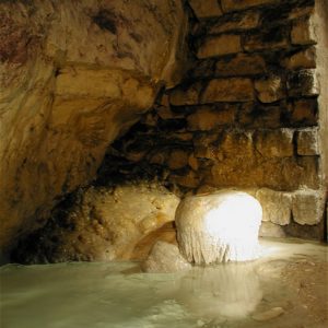 LeDuc Kta1097
