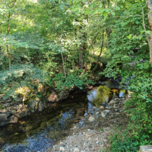 IMG20200820114038bis